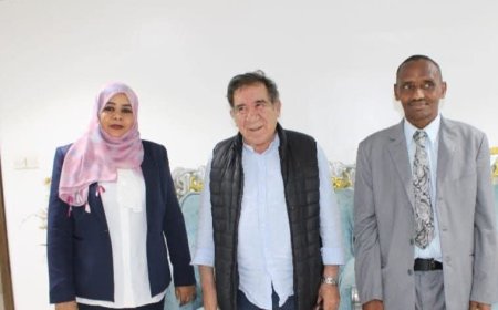 خبير أممي يصل البلاد