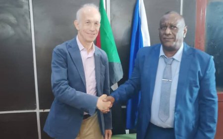 والي الجزيرة يلتقي مندوب اليونسيف في السودان