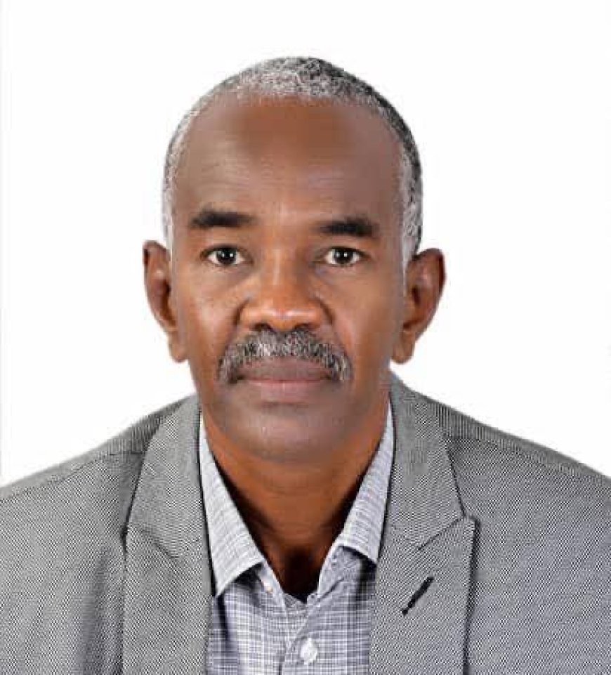 الكشف عن إستخدام المليشيا الغام محرمة دولياً في الخرطوم