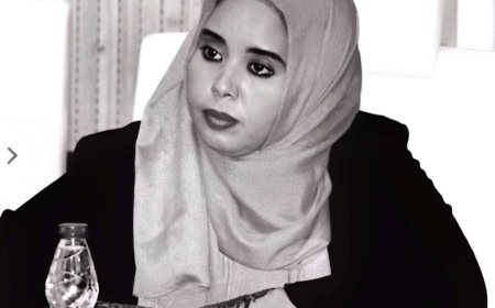 ثويبة الأمين تكتب .. الفاشر معركة المصير: هل يبدأ تفكيك السودان من هنا؟