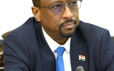 الإعيسر يدفع بطلب عاجل للمجتمع الدولي..