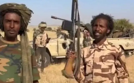 المليشيا تصفي عناصر قوات (حجر والهادي) المشاركين في الهجوم على الفاشر