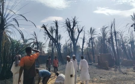 حريق هائل يقضي على النخيل بالشمالية..