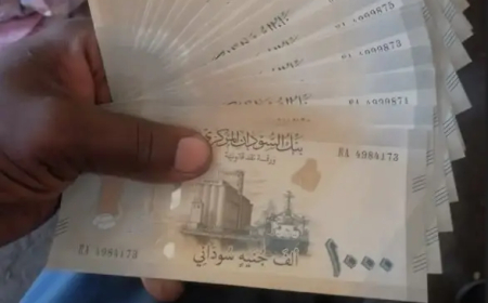 (الثراء الحرام) تضبط العشرات من المتورطين باستبدال (الكاش) بالفائدة ببورتسودان