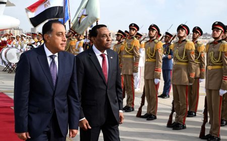 استقبال مهيب لرئيس الوزراء وبدء المباحثات  السودانية _ المصرية في القاهرة