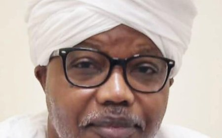 حاج ماجد سوار يكشف عن تحركات رتل كبير للمليشيا بكردفان