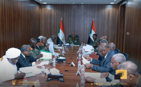 مجلس الأمن والدفاع يناقش إجراءات حكومة أبوظبي وحكومة تأسيس الورقية في دارفور