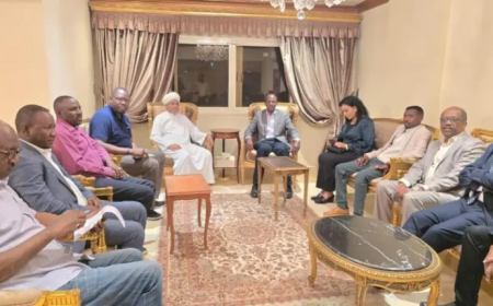 الكتلة الديمقراطية: حصر الميليشيا في حواضنها بدارفور يهدد وحدة السودان