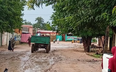 الطيب محمد أحمد رجب يكتب... أبو جبيهة ثغر البلاد الجنوبي .....