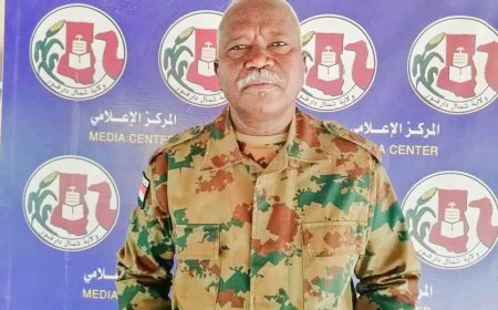 والي شمال دارفور يكشف التفاصيل الكاملة للمعركة (227) على الفاشر