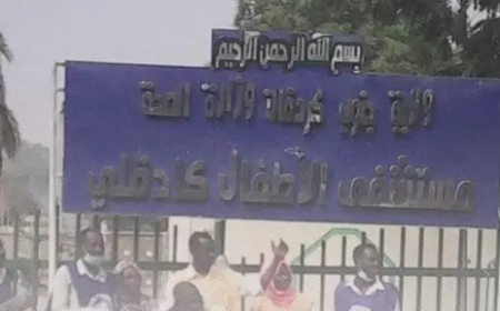 وفاة 6 أشخاص بينهم 3 أطفال بمستشفيات كادوقلي