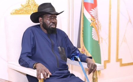 بينهم سفير سابق في السودان.. فصل 4 سفراء في حكومة دولة الجنوب