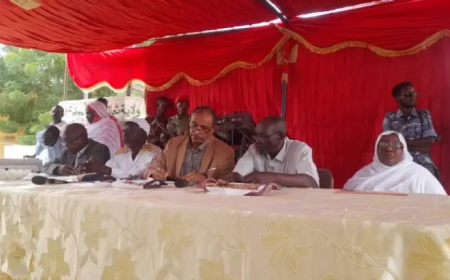 إعلان نتيجة “الشهادة الابتدائية” بشمال كردفان