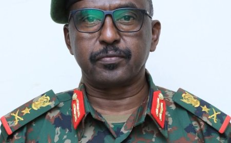 تعرف على السيرة الذاتية للمفتش العام الجديد للجيش 