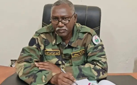 إقالة مسؤول في حكومة سنار