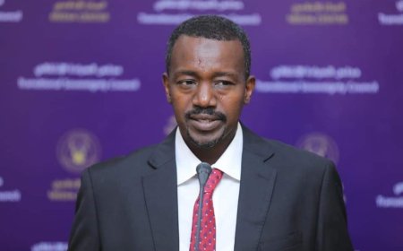 عضو بالسيادي: استرداد كردفان ودارفور قريباً