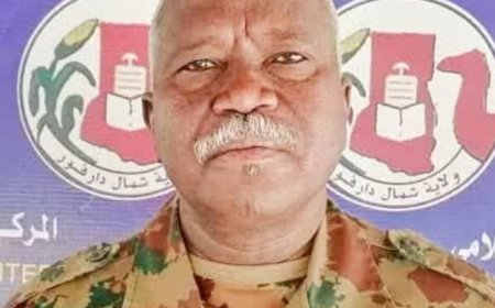والي شمال دارفور يكشف معلومات مثيرة حول معركة الجمعة..