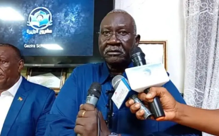 عقار: لا مكان للمرتزقة في أجهزة الدولة التنفيذية أو السياسة