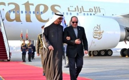 بن زايد يصل مصر في زيارة تستغرق عدة أيام