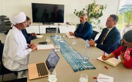 الحكومة تُملك الصليب الأحمر أدلة بجرائم المليـ شيا