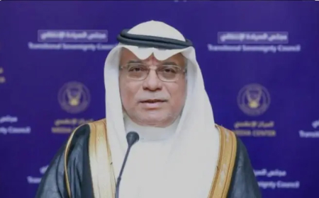 السعودية: نأمل أن نرى الفاشر محررة
