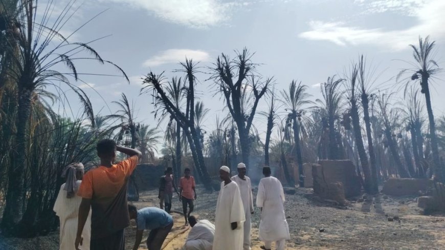 حريق هائل يقضي على النخيل بالشمالية..