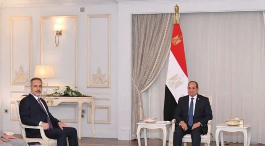 محادثات مصرية- تركية بشأن السودان
