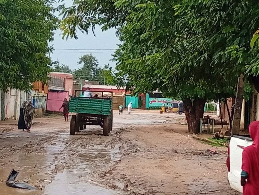 الطيب محمد أحمد رجب يكتب... أبو جبيهة ثغر البلاد الجنوبي .....