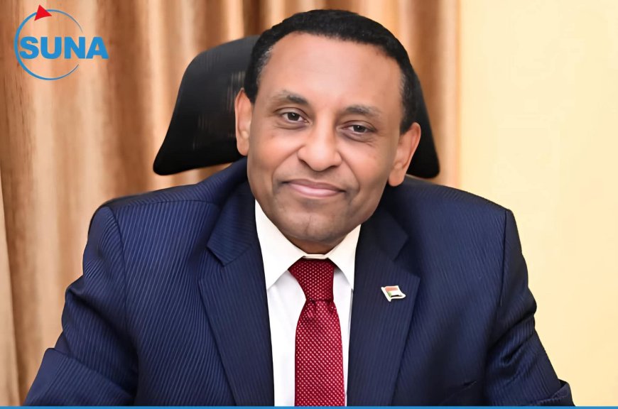 رئيس الوزراء يبحث مع ممثل اليونيسف بالسودان سبل تعزيز حقوق الطفل
