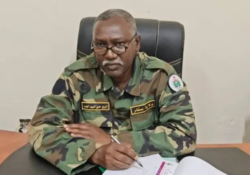 إقالة مسؤول في حكومة سنار