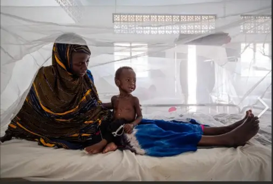 بسبب الجوع…وفاة (46) شخصا خلال شهرين في جنوب كردفان