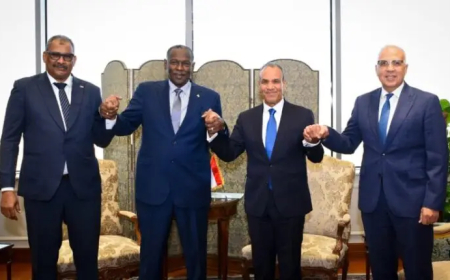 تنسيق سوداني مصري لمواجهة التحركات الأحادية بحوض النيل الشرقي