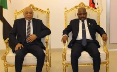 وزير العدل يلتقي رئيس المحكمة الدستورية