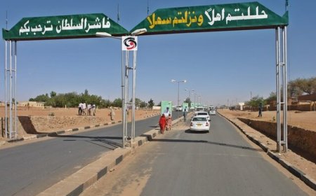 لجان مقاومة الفاشر تدفع بطلب عاجل للجيش..