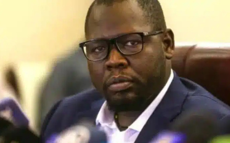 يمتلك “أردول” أسهما فيها.. شركة مصرية تستحوذ على 85% من منجم “أركيديا” للذهب في السودان.. والشركة توضح