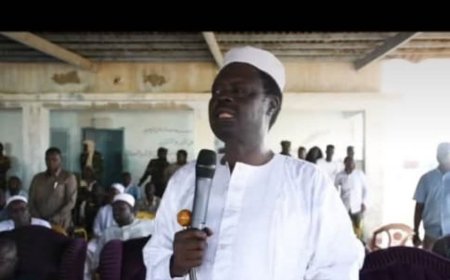 تصريحات قوية لحاكم دارفور بشأن فك حصار الفاشر