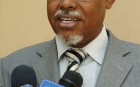 وفاة والي نهر النيل الأسبق