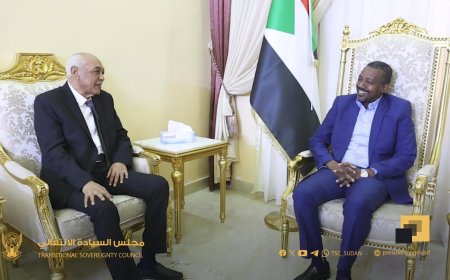 عضو بالسيادي: الدولة حريصة على تفعيل دور المحكمة الدستورية وسيادة القانون