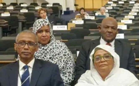 أمام مجلس حقوق الإنسان.. النائب العام ترد على الإمارات بعنف