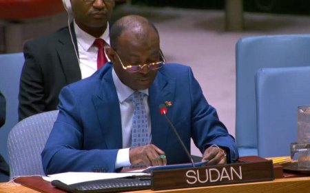 السودان يدفع بطلب عاجل لمجلس الأمن الدولي