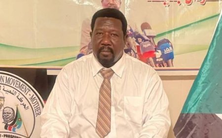 الكشف عن مخطط خطير بشأن الفاشر