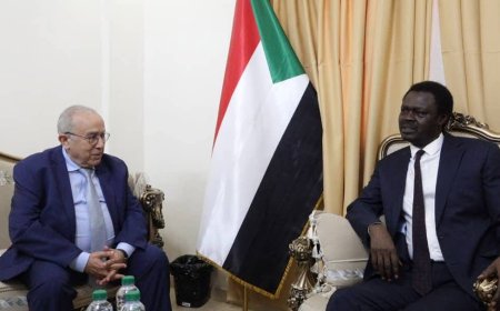 مناوي يلتقي مبعوث الأمين العام للأمم المتحدة للسودان