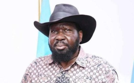 الفساد الكبير.. الأمم المتحدة تكشف عمليات نهب ثروات دولة الجنوب..