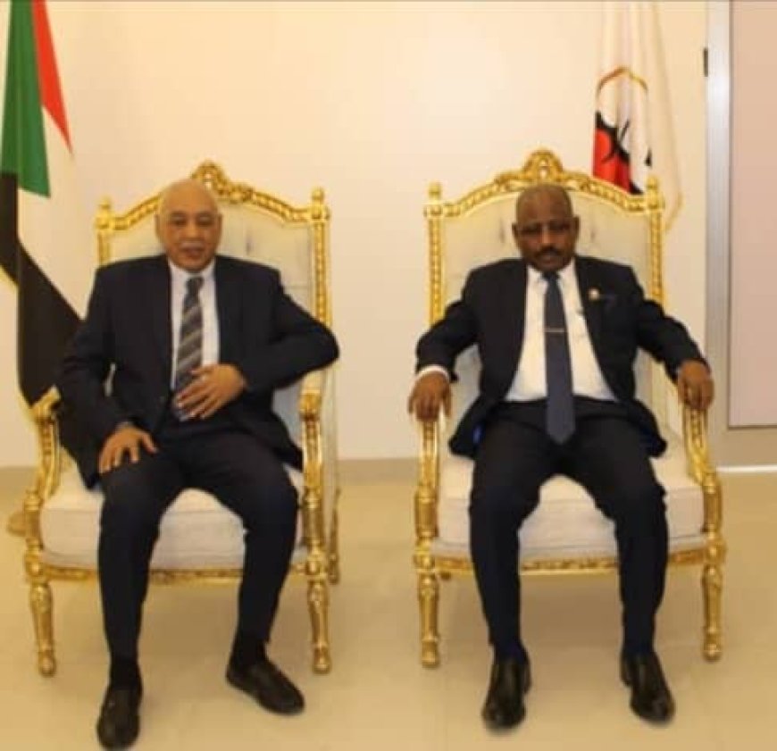 وزير العدل يلتقي رئيس المحكمة الدستورية