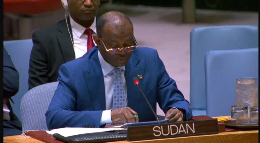 السودان يدفع بطلب عاجل لمجلس الأمن الدولي