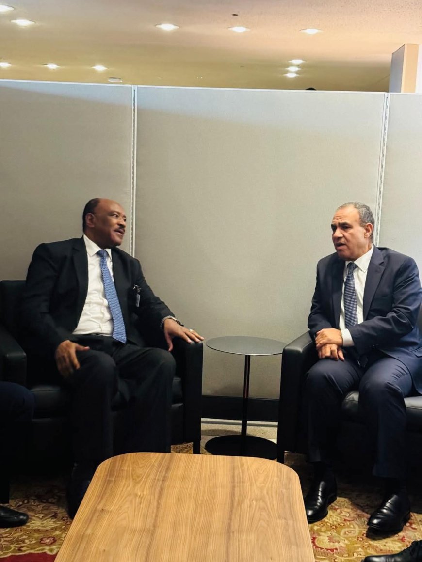 وزير الخارجية يبحث مع نظيره المصري تعزيز العلاقات الثنائية وإحلال السلام في السودان