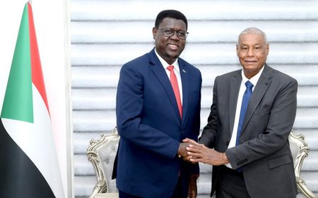 مباحثات بشأن قضايا الحدود بين السودان ودولة الجنوب