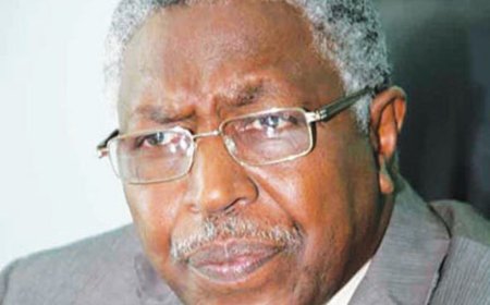 الإتحادي الأصل أول حزب سياسي يعود إلى العمل من داخل الخرطوم