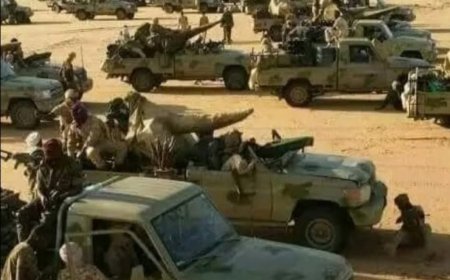 عمليات نهب واسعة من عناصر المليشيا في النهود