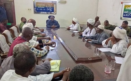 والي الجزيرة: نحتاج إلى 1350 محول لحل مشكلة الكهرباء